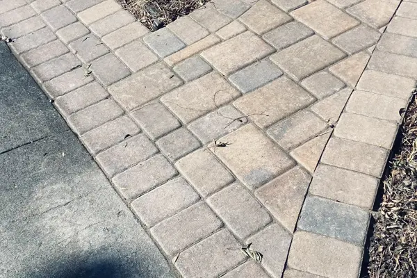Paving Stones